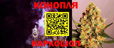 a pvp Свободный