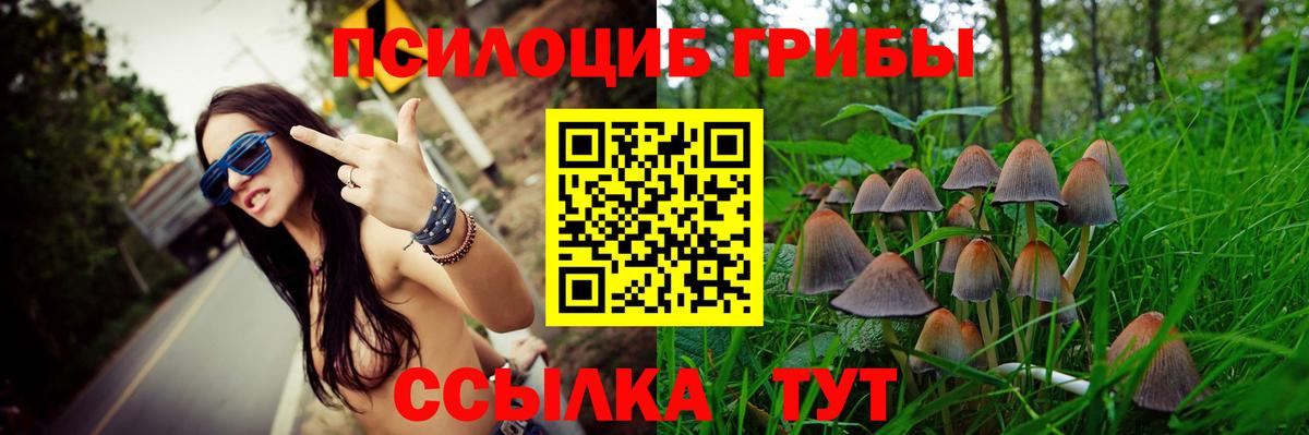 Псилоцибиновые грибы Psilocybe Обнинск
